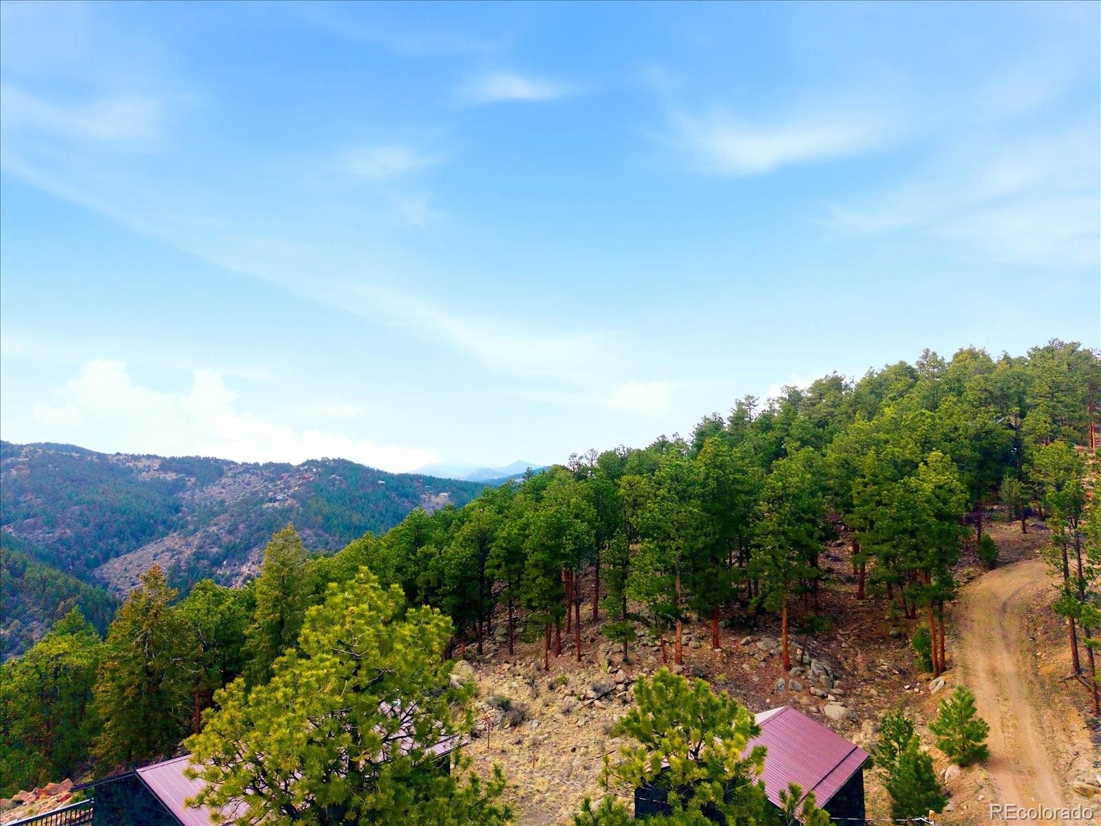 475 Holmes Gulch Road Bailey CO 80421