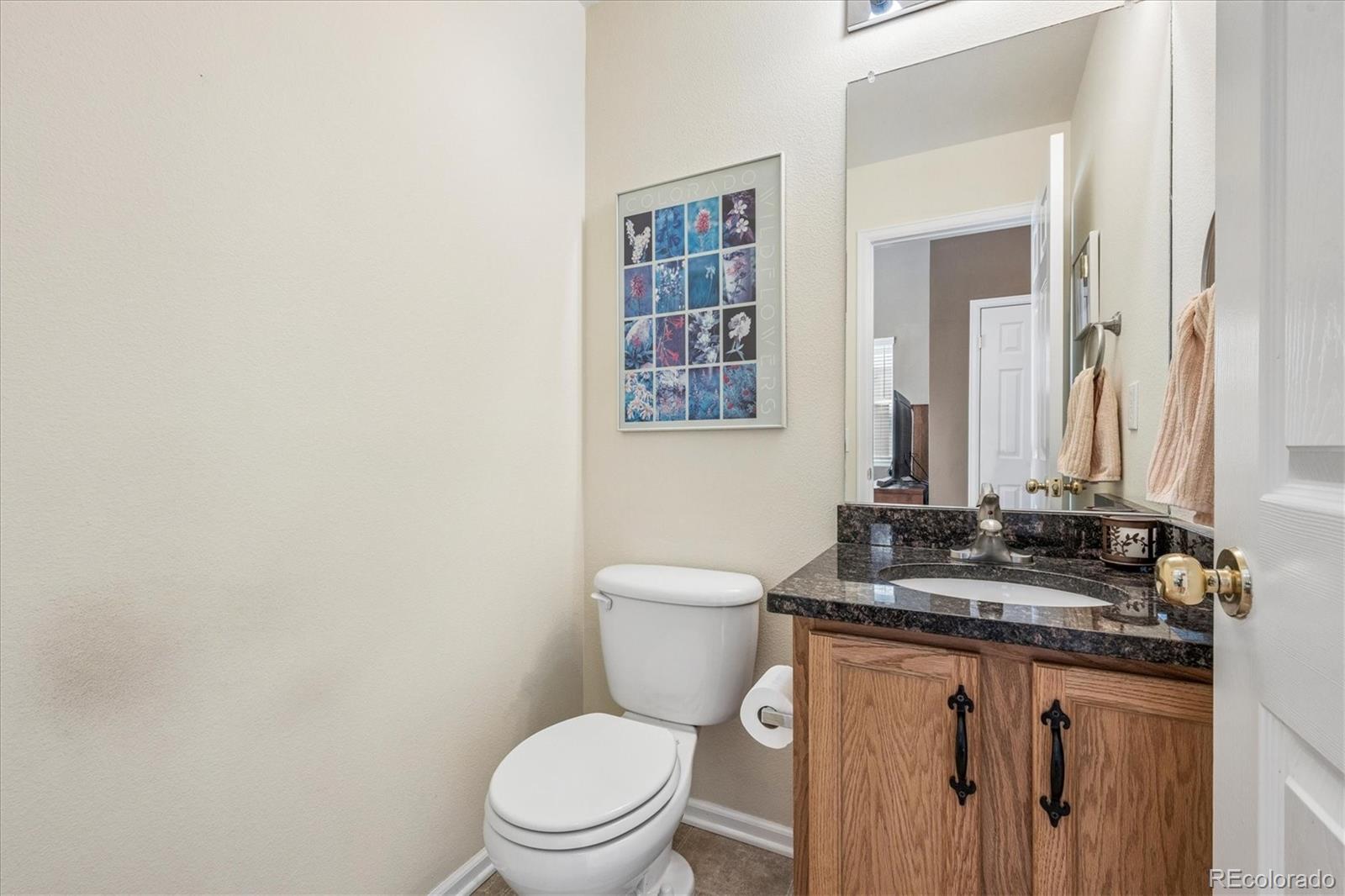 9286 Longstone Drive Parker CO 80134