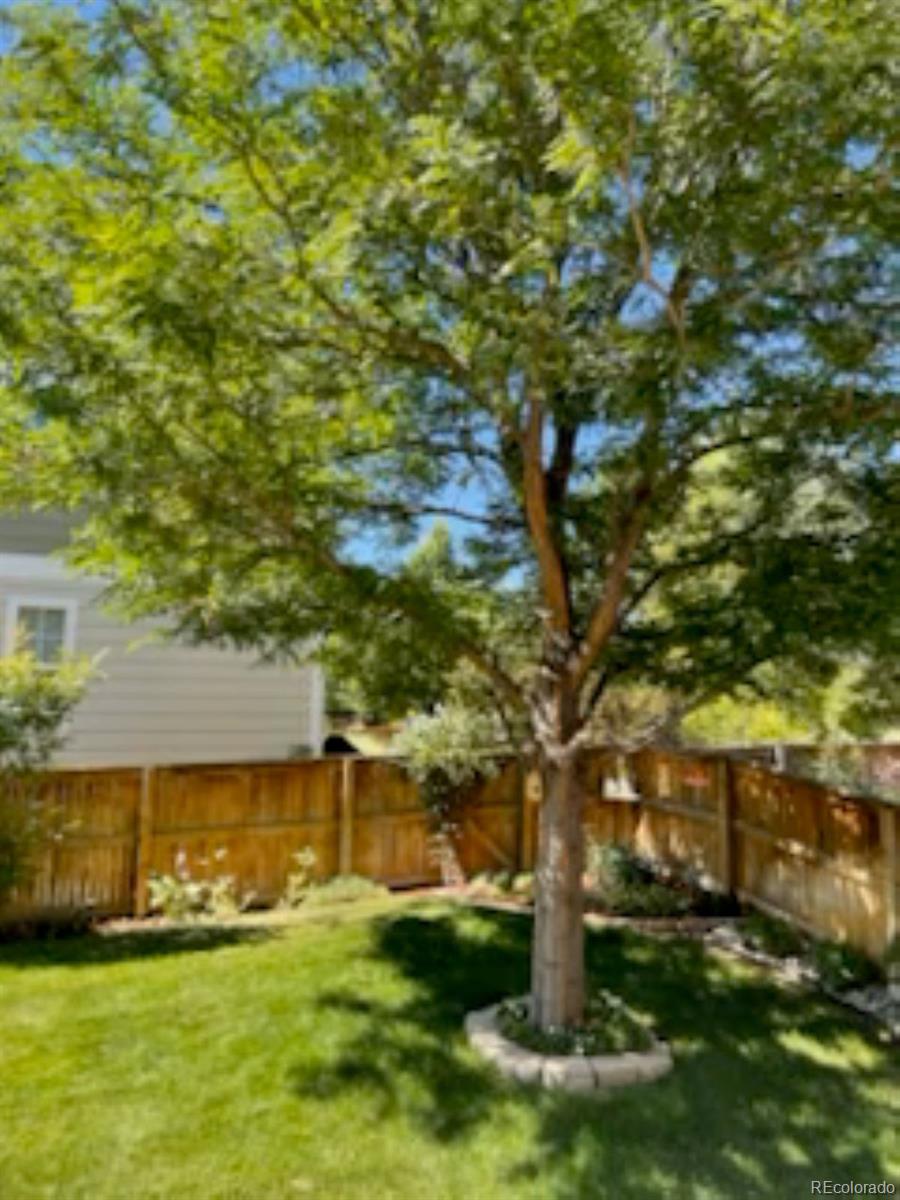 9286 Longstone Drive Parker CO 80134