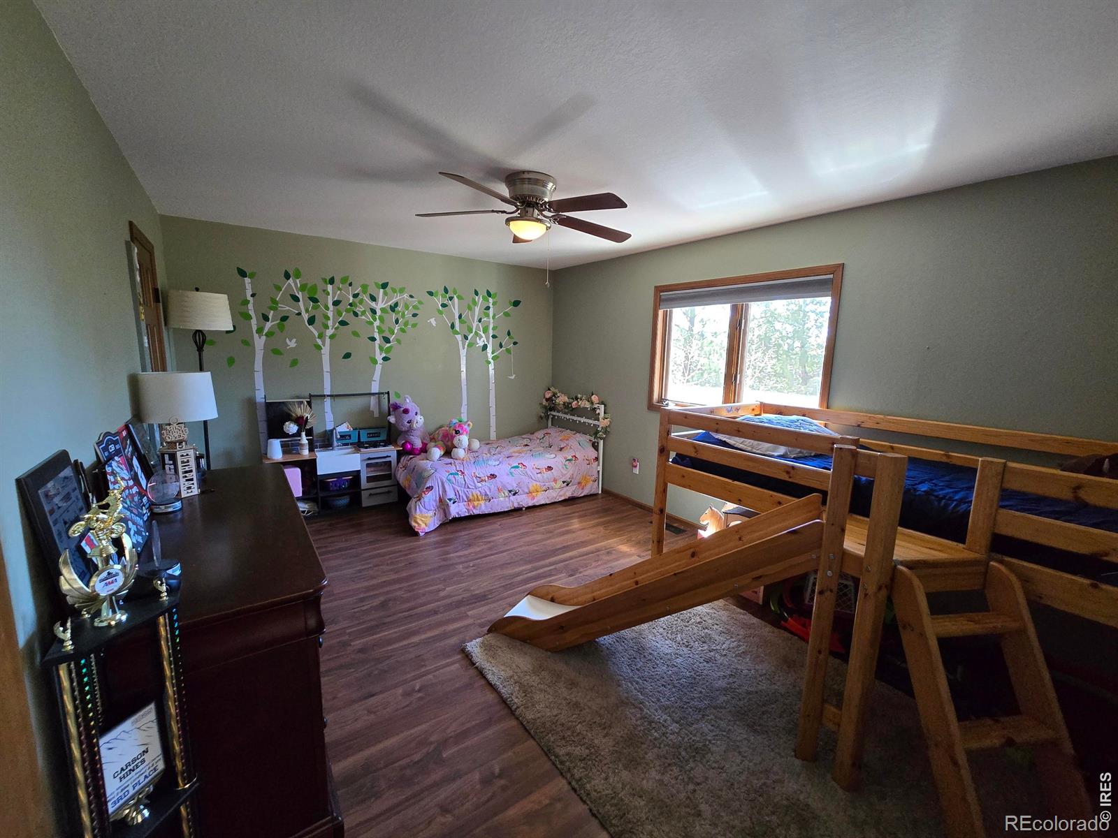 30382 Kings Valley E Conifer CO 80433