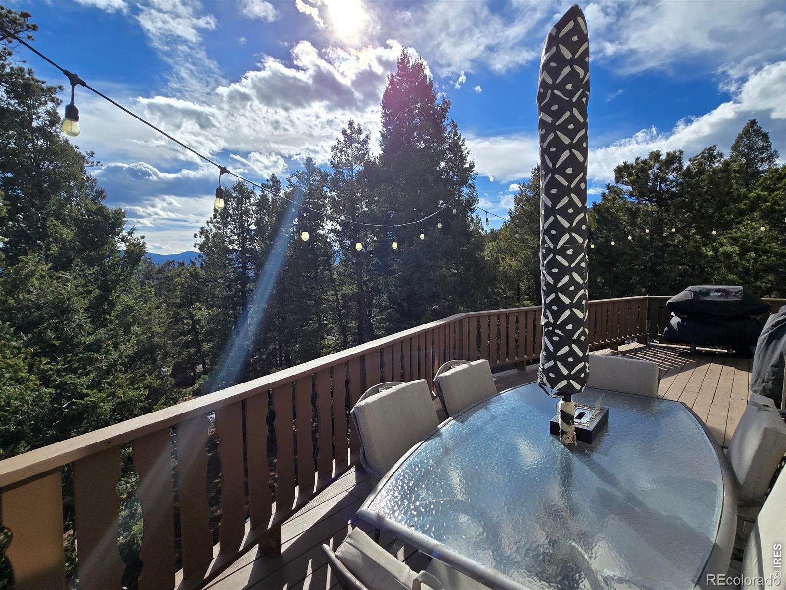 30382 Kings Valley E Conifer CO 80433