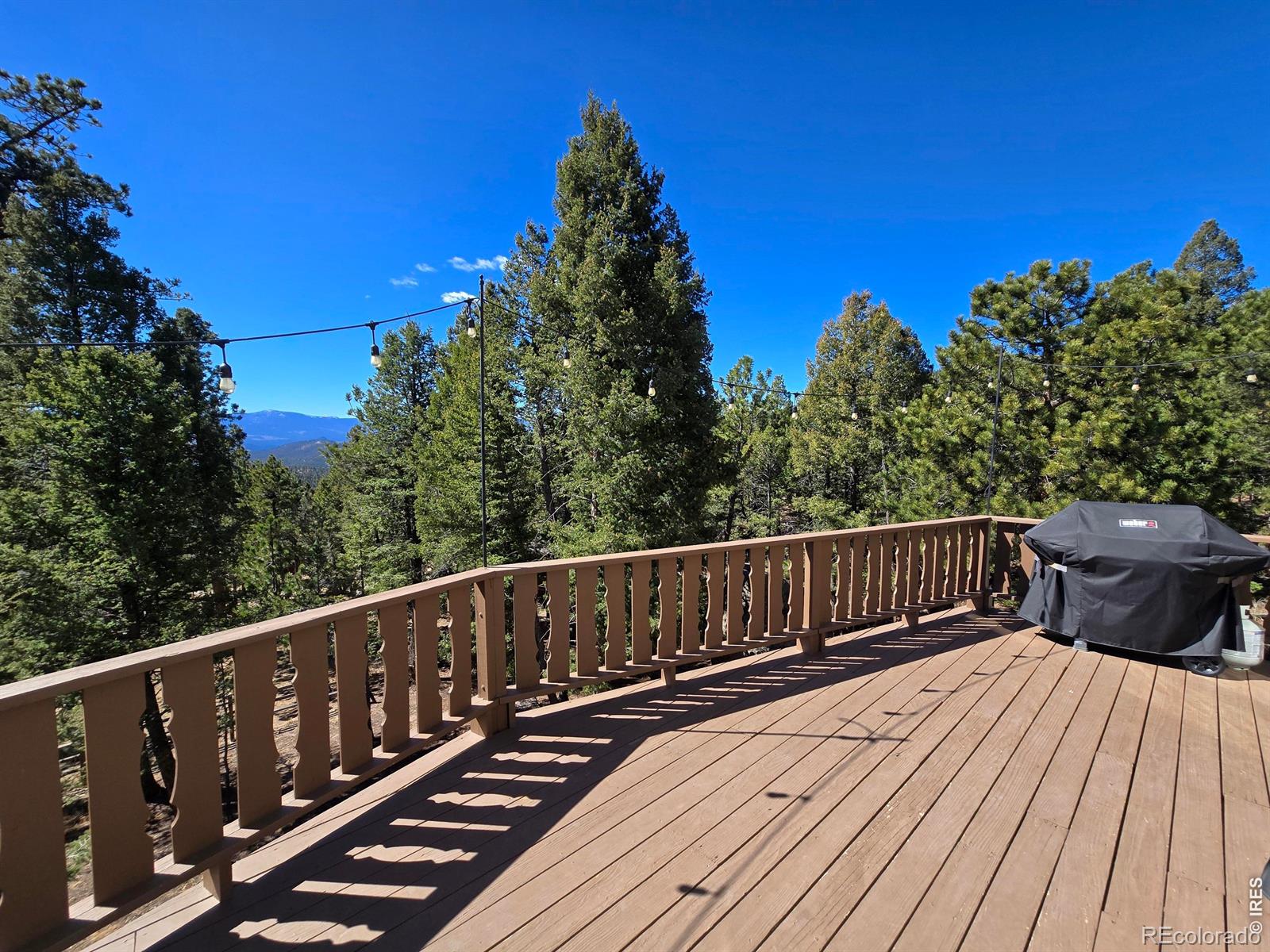 30382 Kings Valley E Conifer CO 80433
