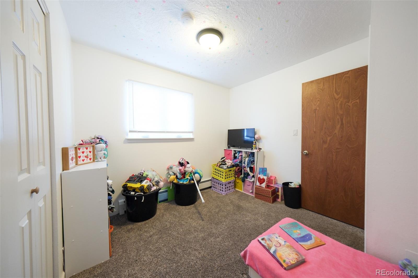 207 Bonney Drive Alamosa CO 81101