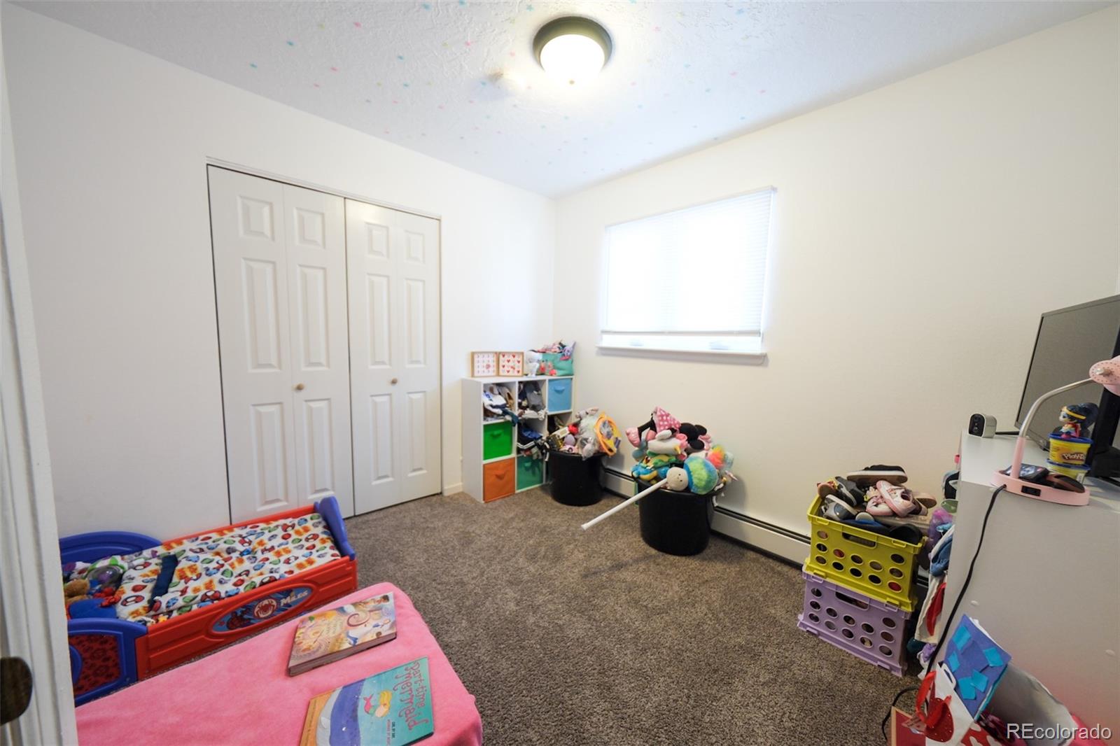 207 Bonney Drive Alamosa CO 81101