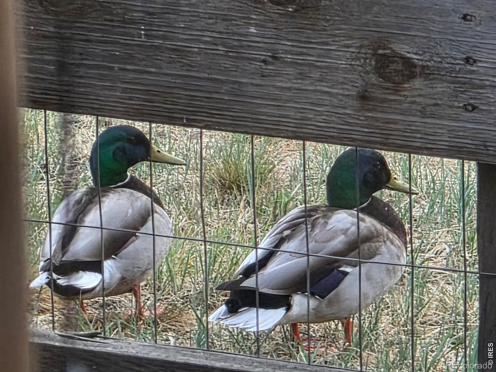 2017 Sicily Circle Longmont CO 80503