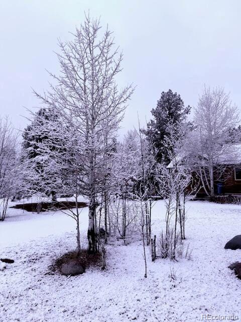 129 Sugarloaf Drive Pagosa Springs CO 81147