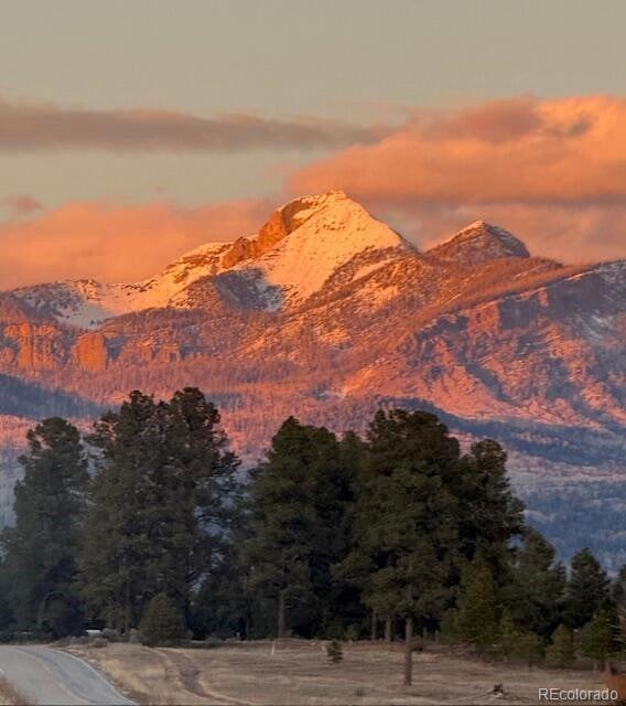 129 Sugarloaf Drive Pagosa Springs CO 81147
