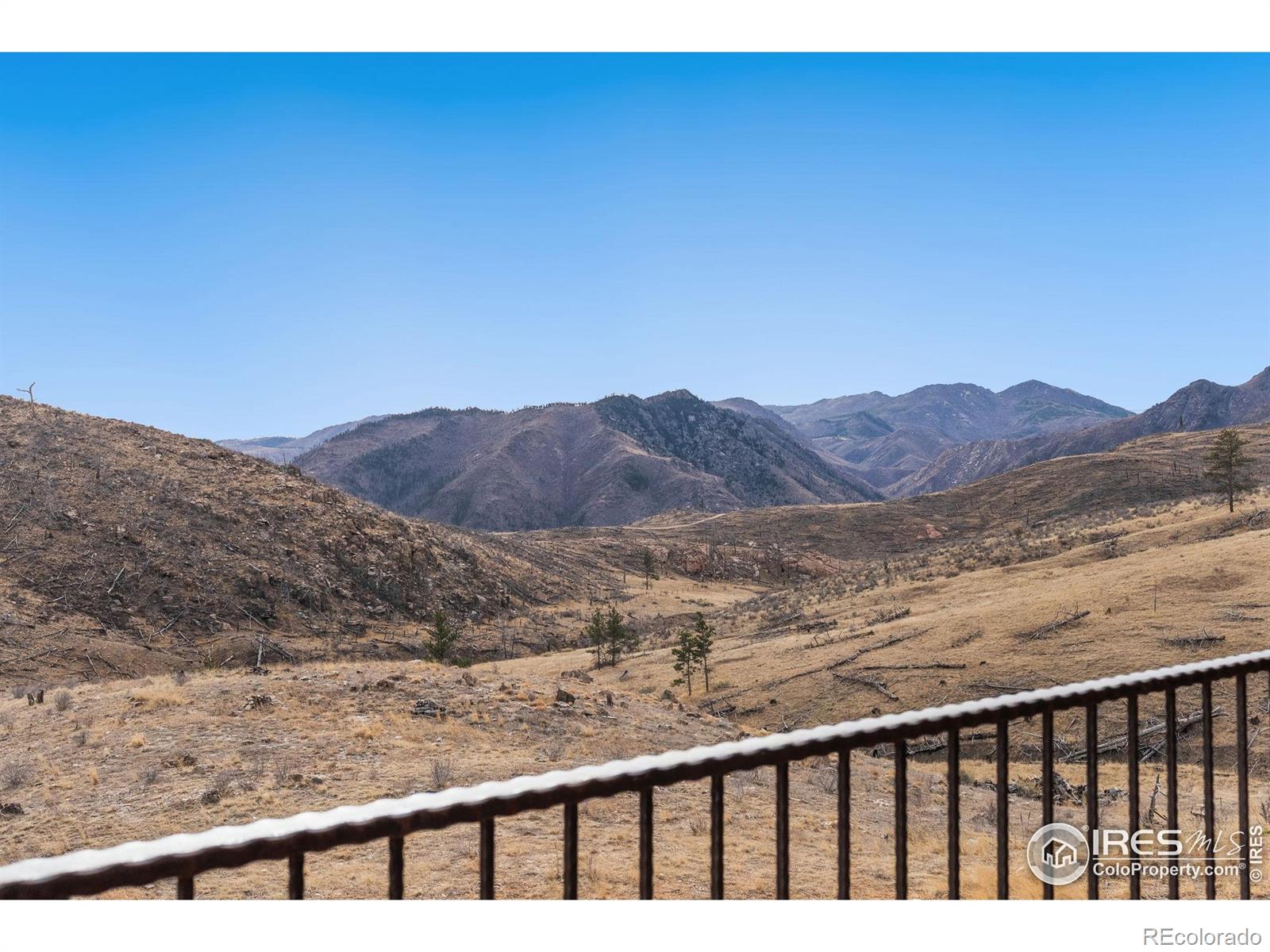 2441 Star View Drive Livermore CO 80536