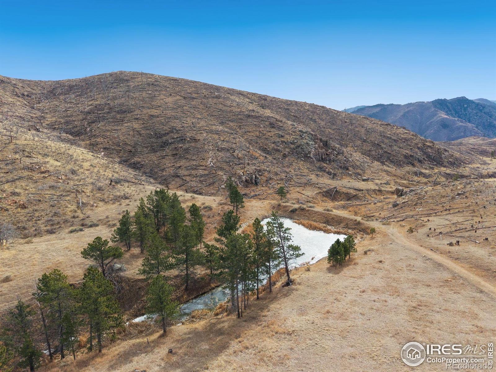 2441 Star View Drive Livermore CO 80536