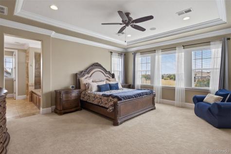 479 Maplehurst Drive Highlands Ranch CO 80126