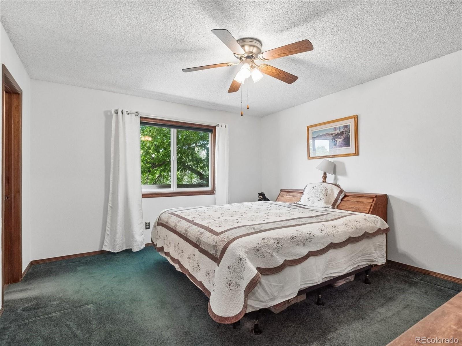 7981 S Cedar Street Littleton CO 80120