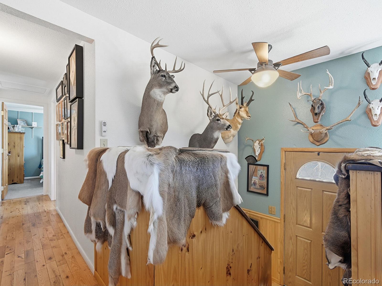 399 Conifer Drive Bailey CO 80421
