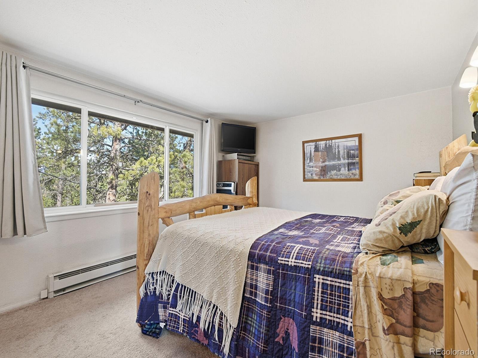 399 Conifer Drive Bailey CO 80421