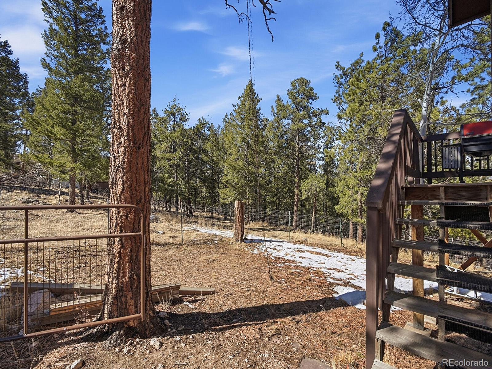 399 Conifer Drive Bailey CO 80421