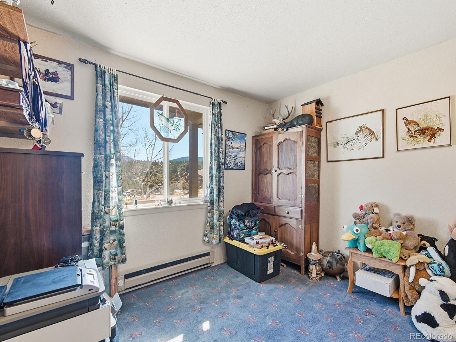 399 Conifer Drive Bailey CO 80421