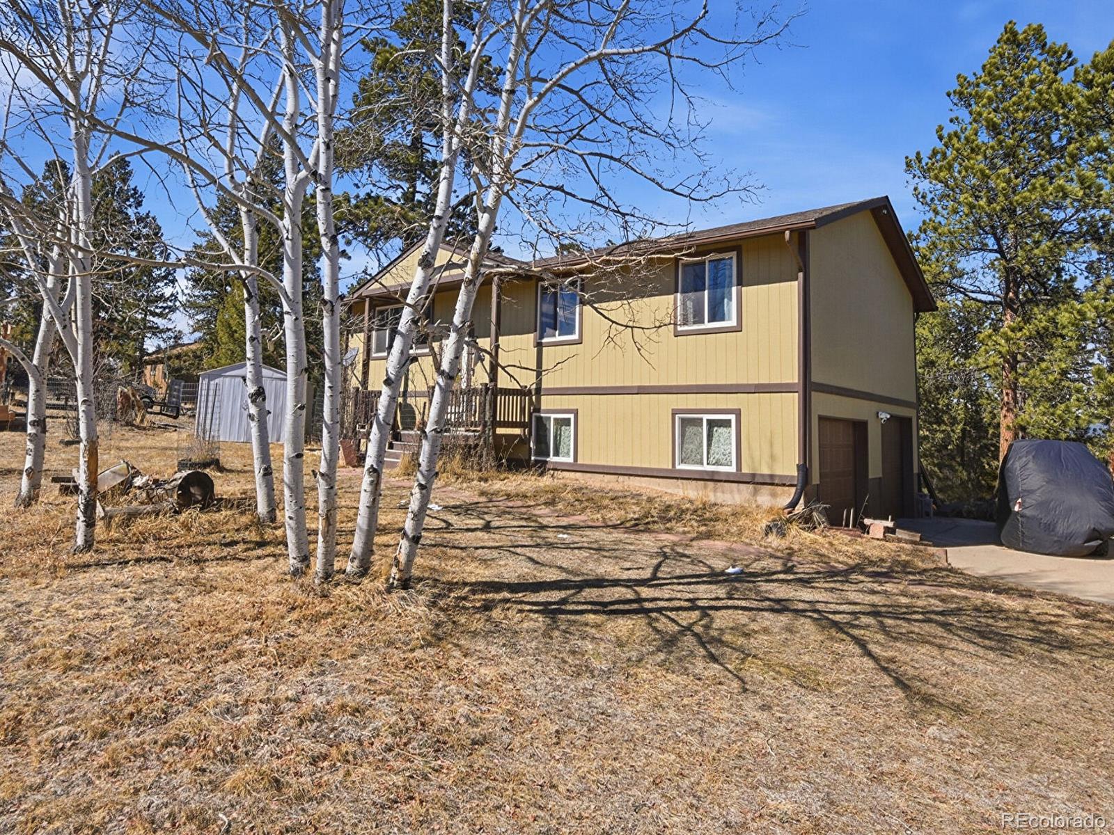 399 Conifer Drive Bailey CO 80421
