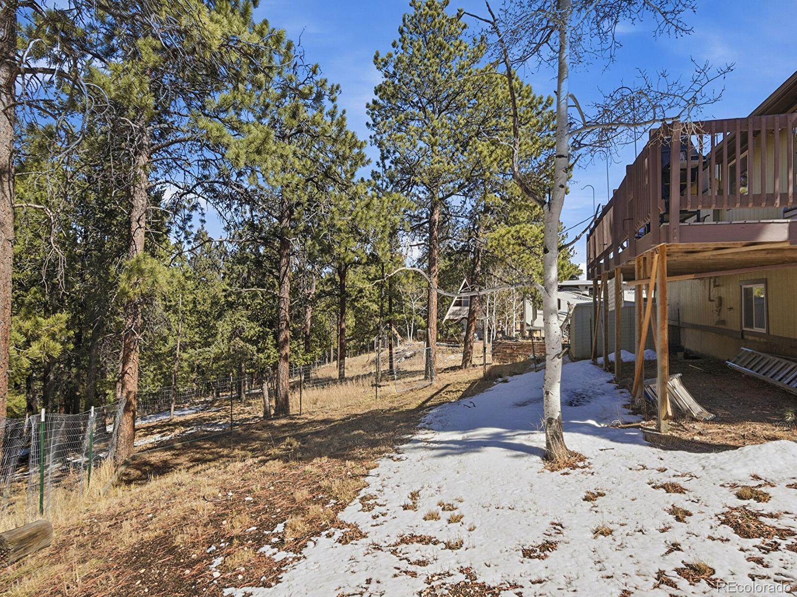 399 Conifer Drive Bailey CO 80421