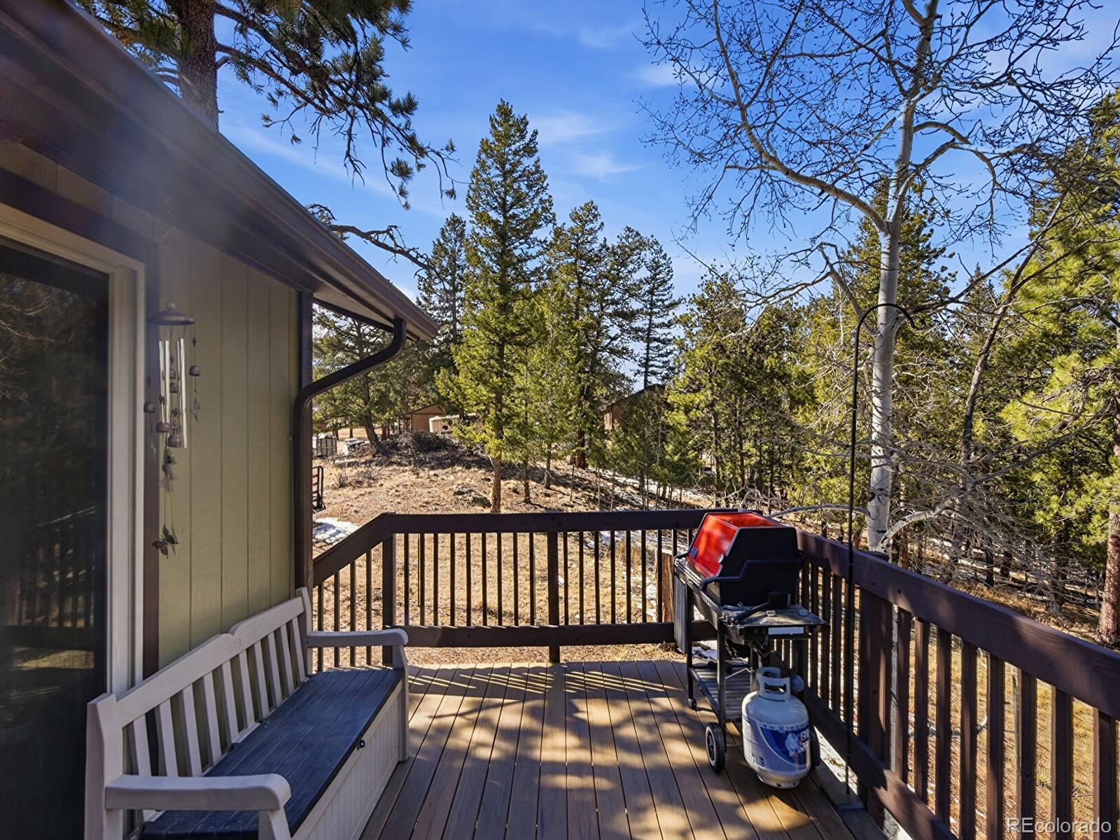 399 Conifer Drive Bailey CO 80421