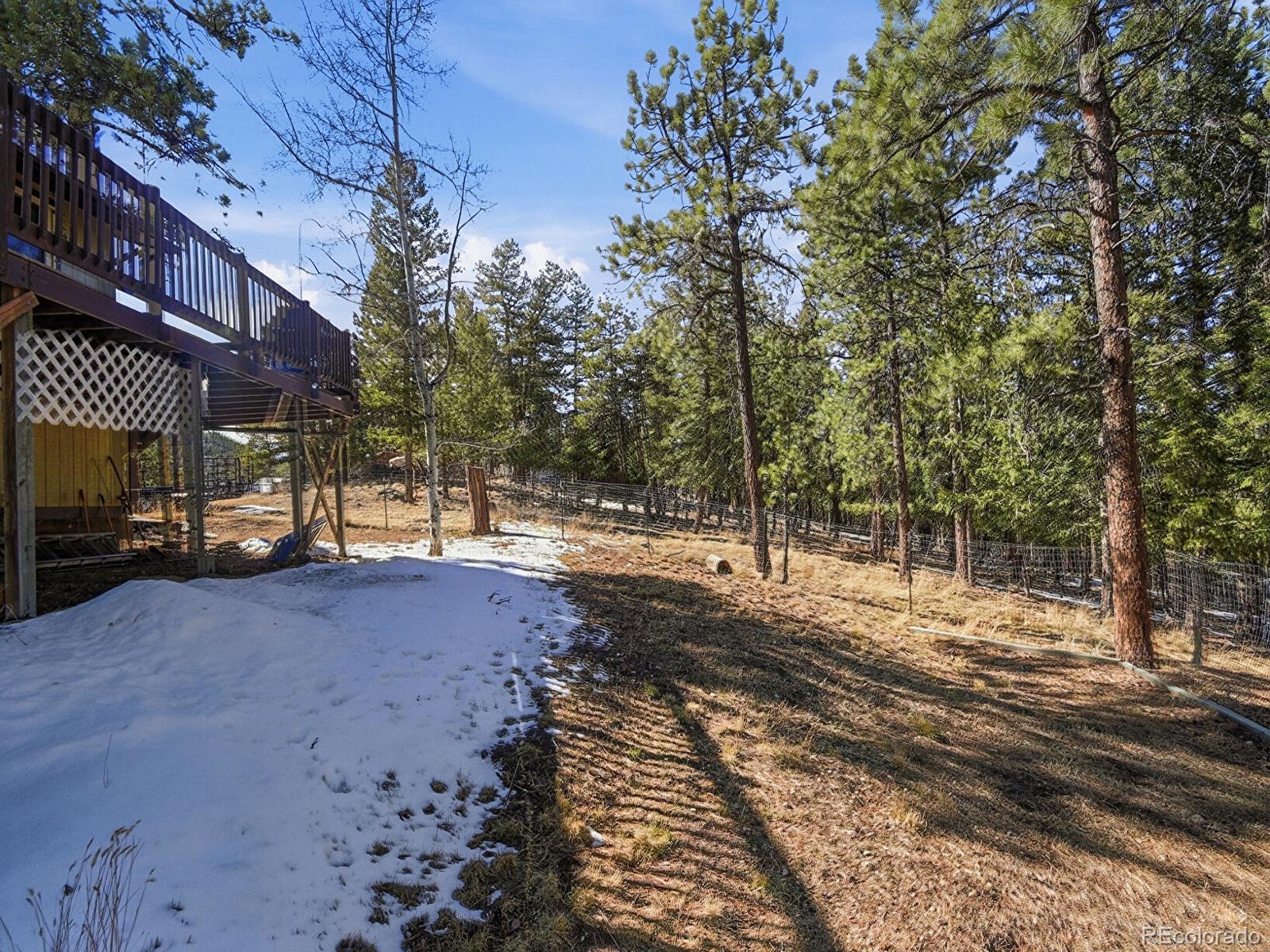 399 Conifer Drive Bailey CO 80421