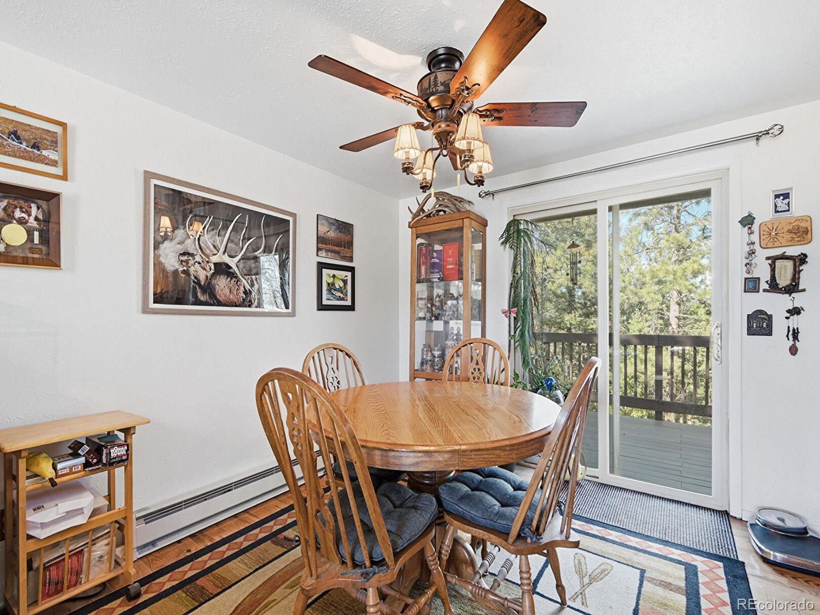 399 Conifer Drive Bailey CO 80421