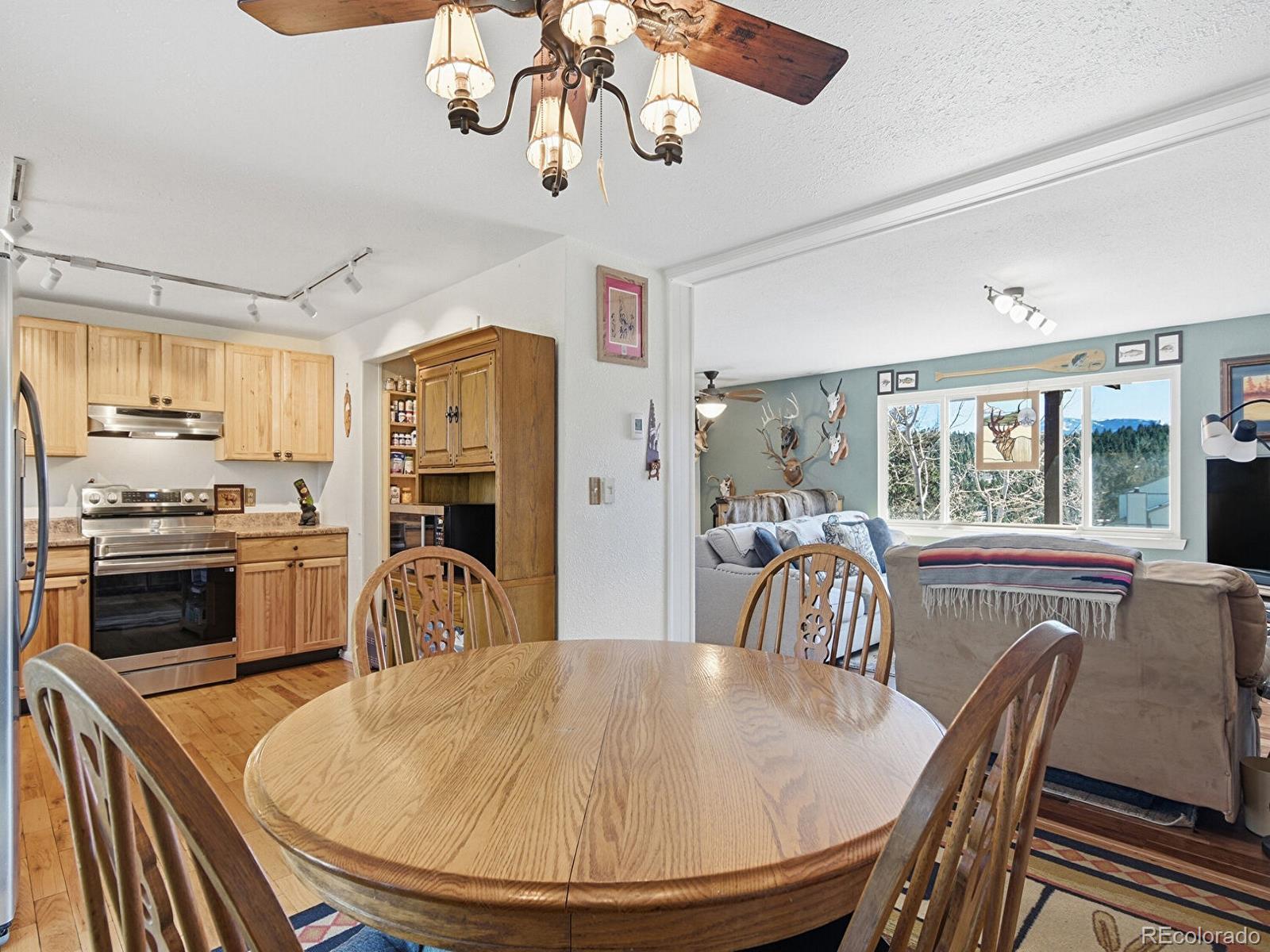 399 Conifer Drive Bailey CO 80421