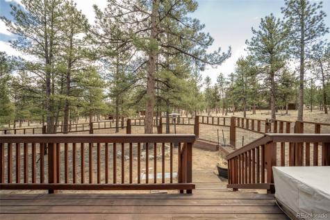 30665 Gray Jay Draw Buena Vista CO 81211