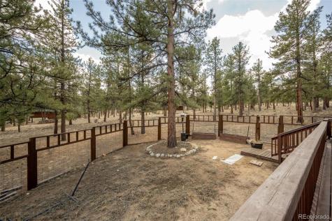30665 Gray Jay Draw Buena Vista CO 81211