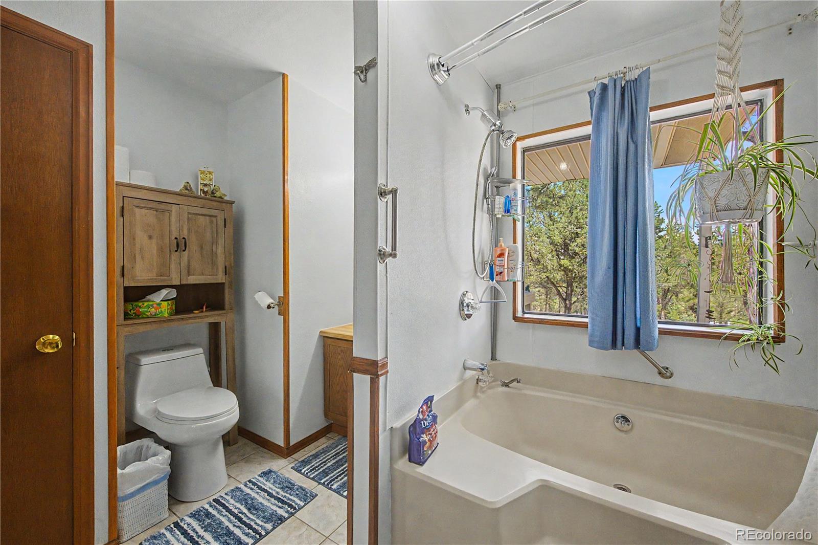 539 12th Trail Cotopaxi CO 81223