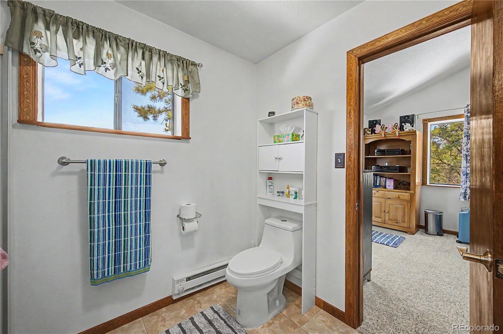 539 12th Trail Cotopaxi CO 81223