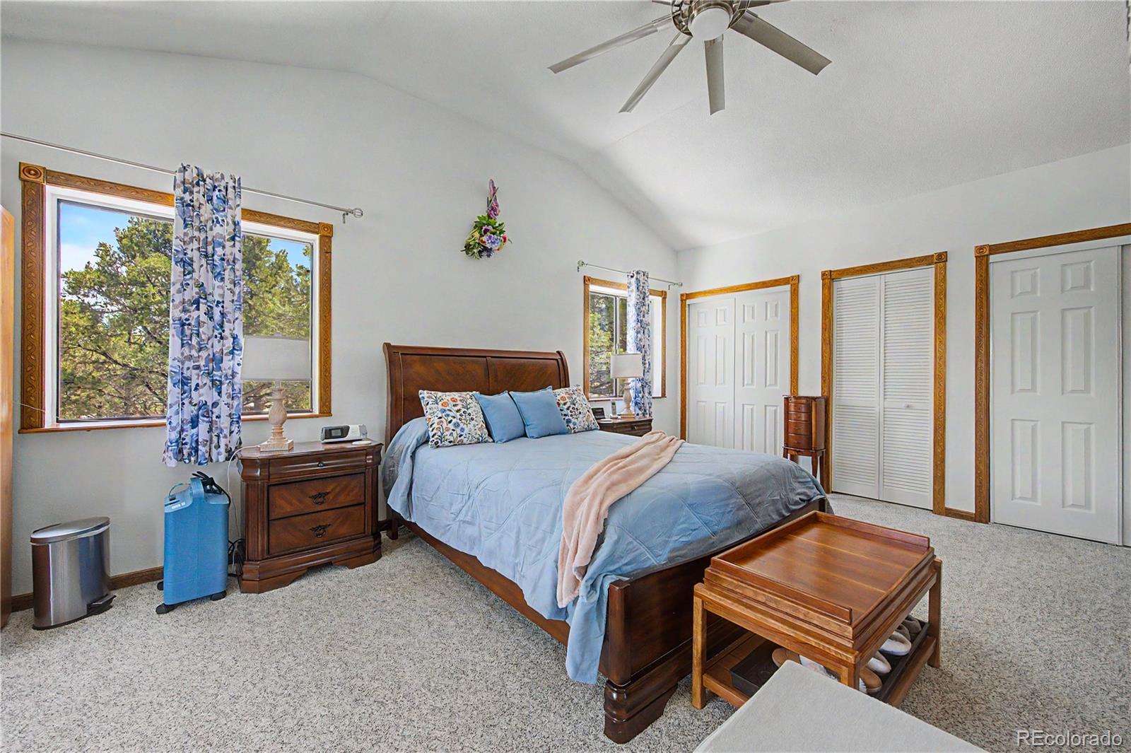 539 12th Trail Cotopaxi CO 81223