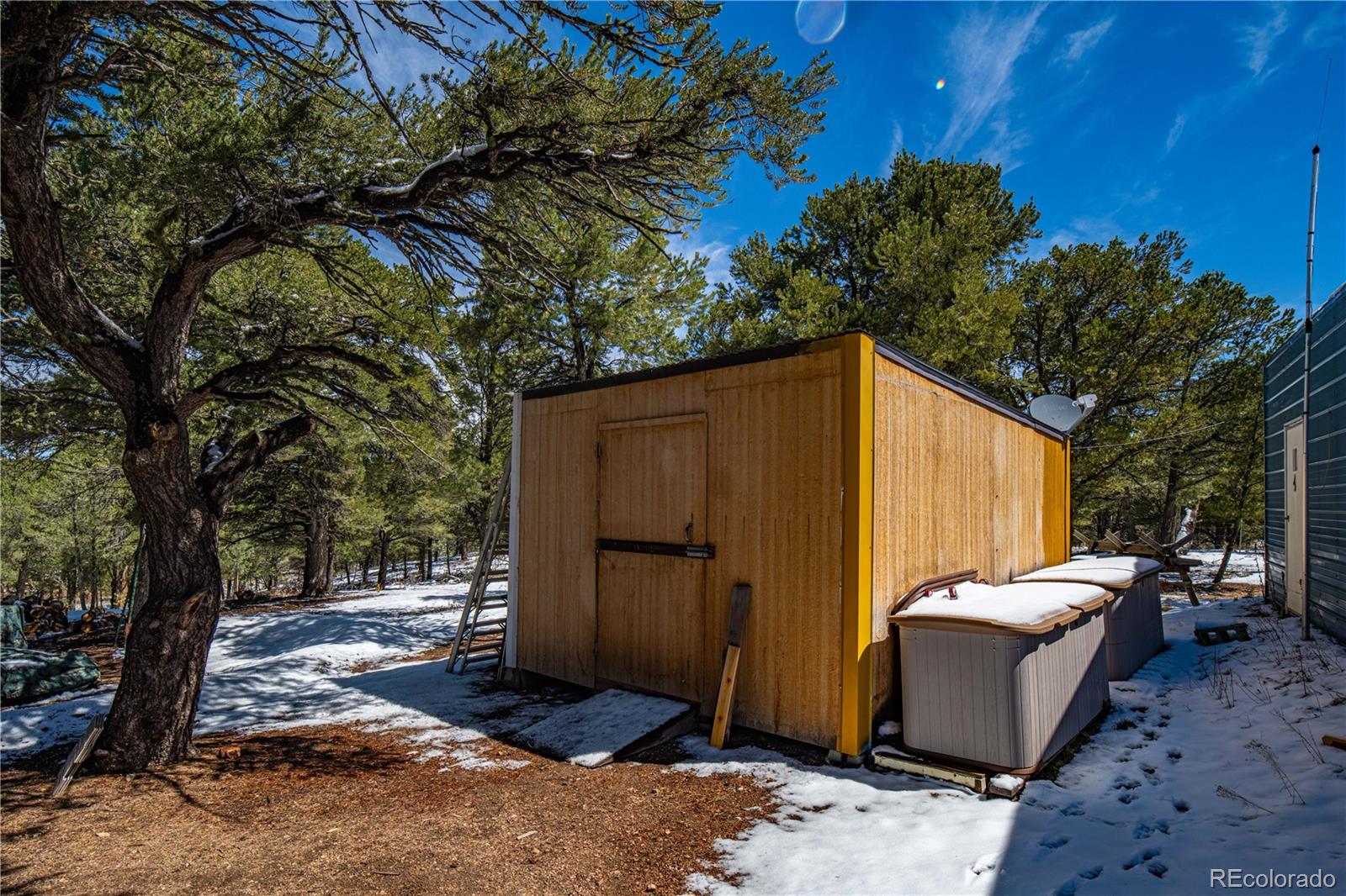 539 12th Trail Cotopaxi CO 81223