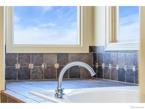 7382 Spanish Bay Drive Windsor CO 80550