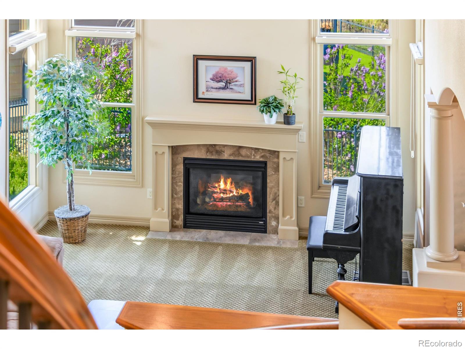 7382 Spanish Bay Drive Windsor CO 80550