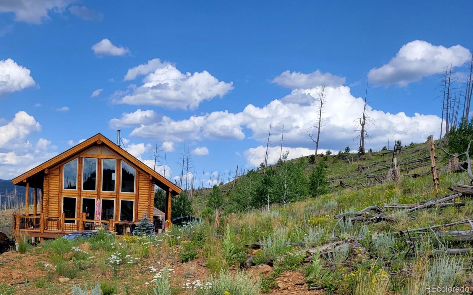 14077 S State Highway 67 Woodland Park CO 80863