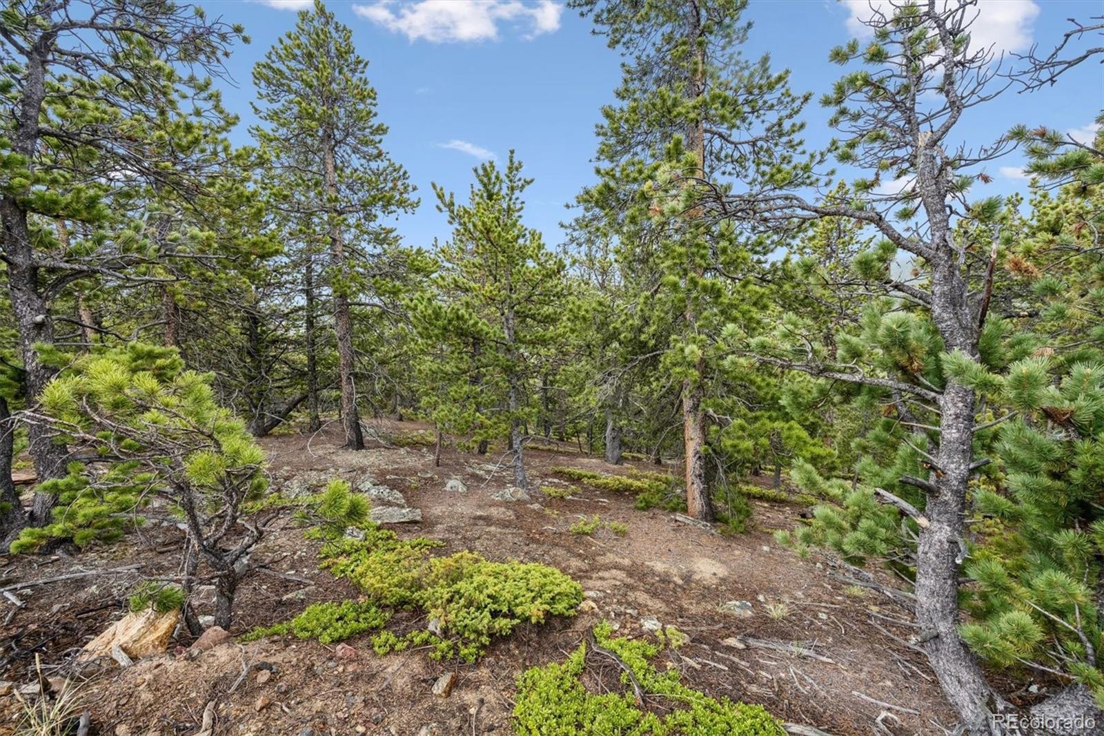 257 Sunny Skies Trail Idaho Springs CO 80452