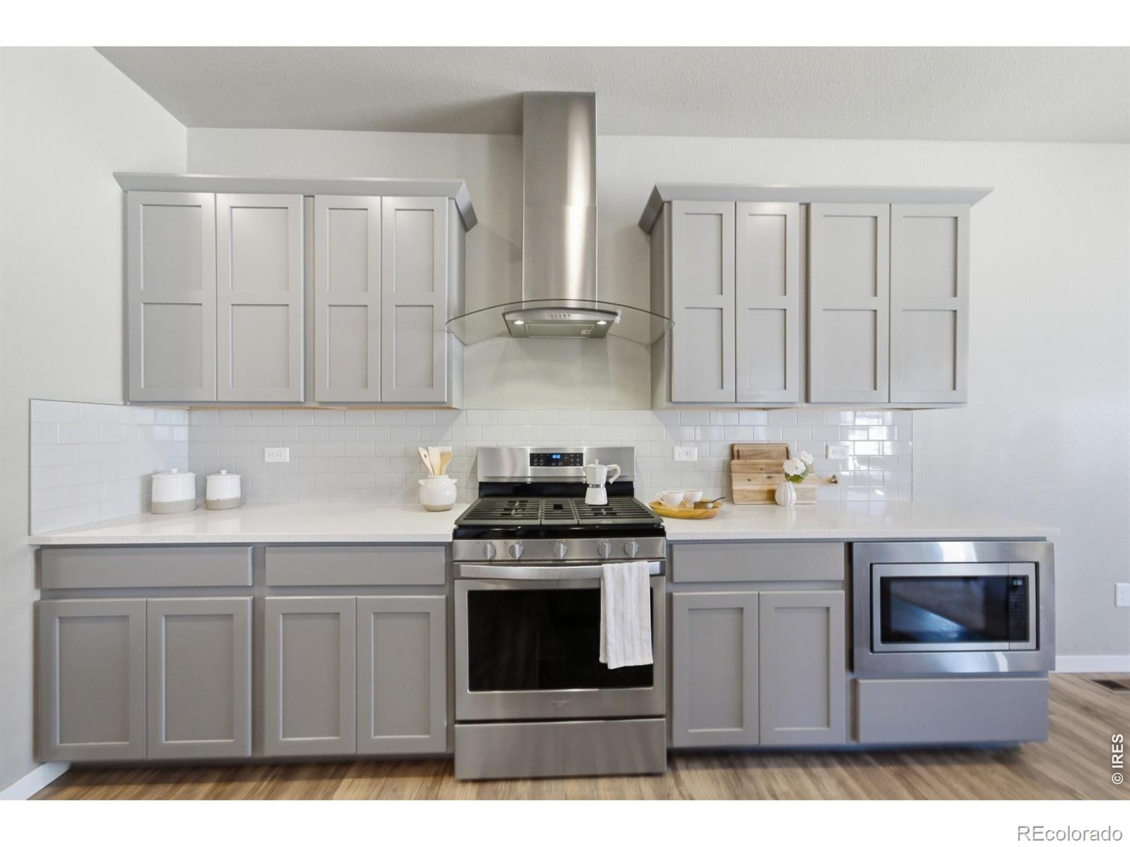 3928 River Birch Street Wellington CO 80549