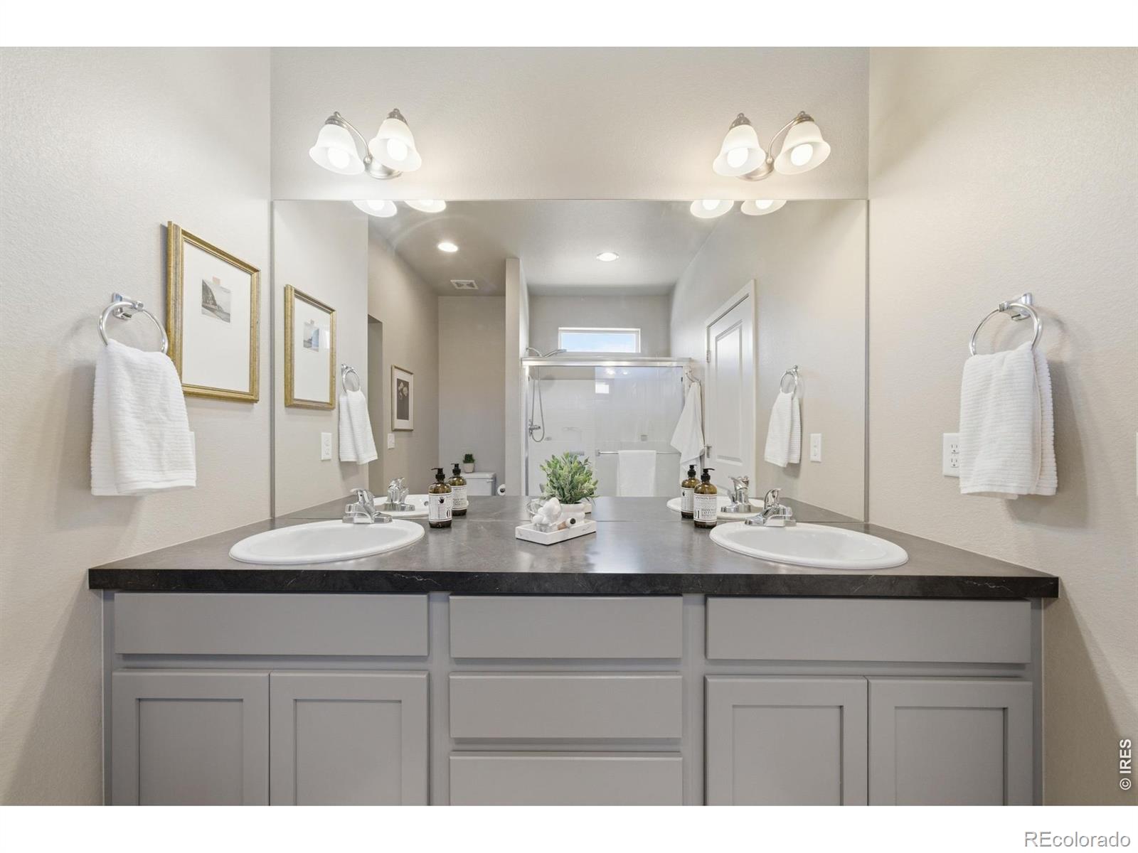 3928 River Birch Street Wellington CO 80549