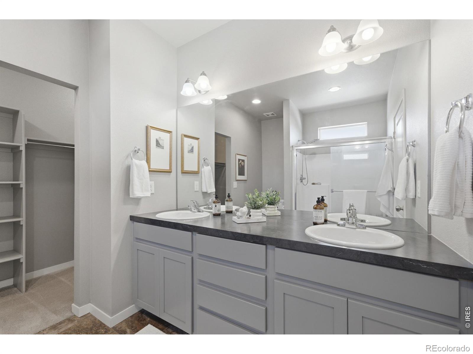 3928 River Birch Street Wellington CO 80549