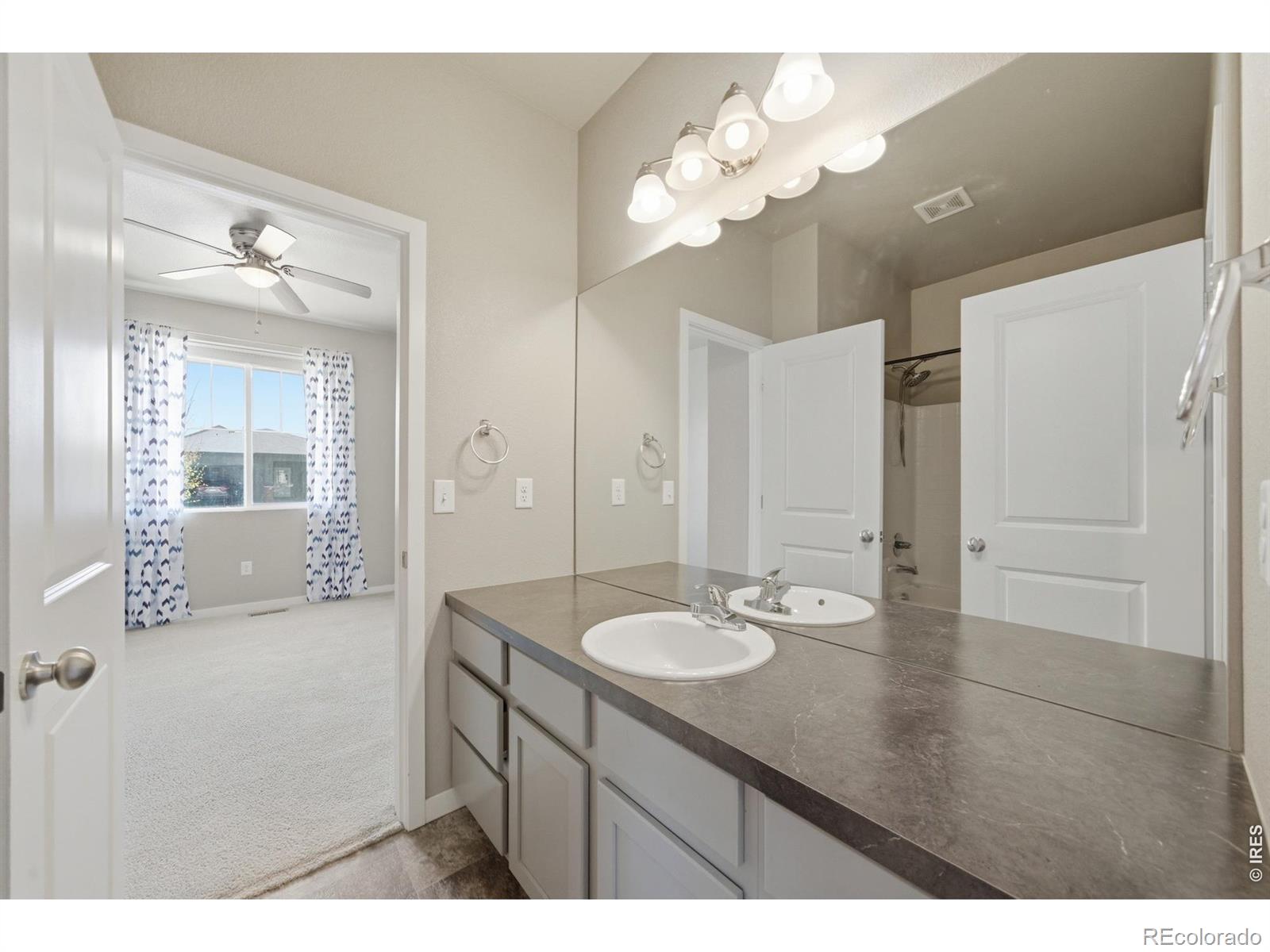 3928 River Birch Street Wellington CO 80549