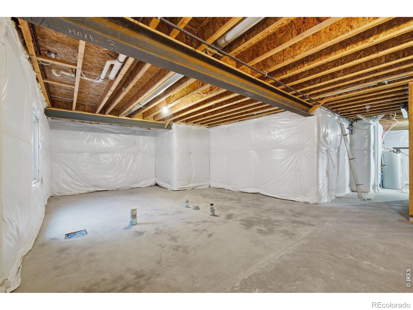 3928 River Birch Street Wellington CO 80549
