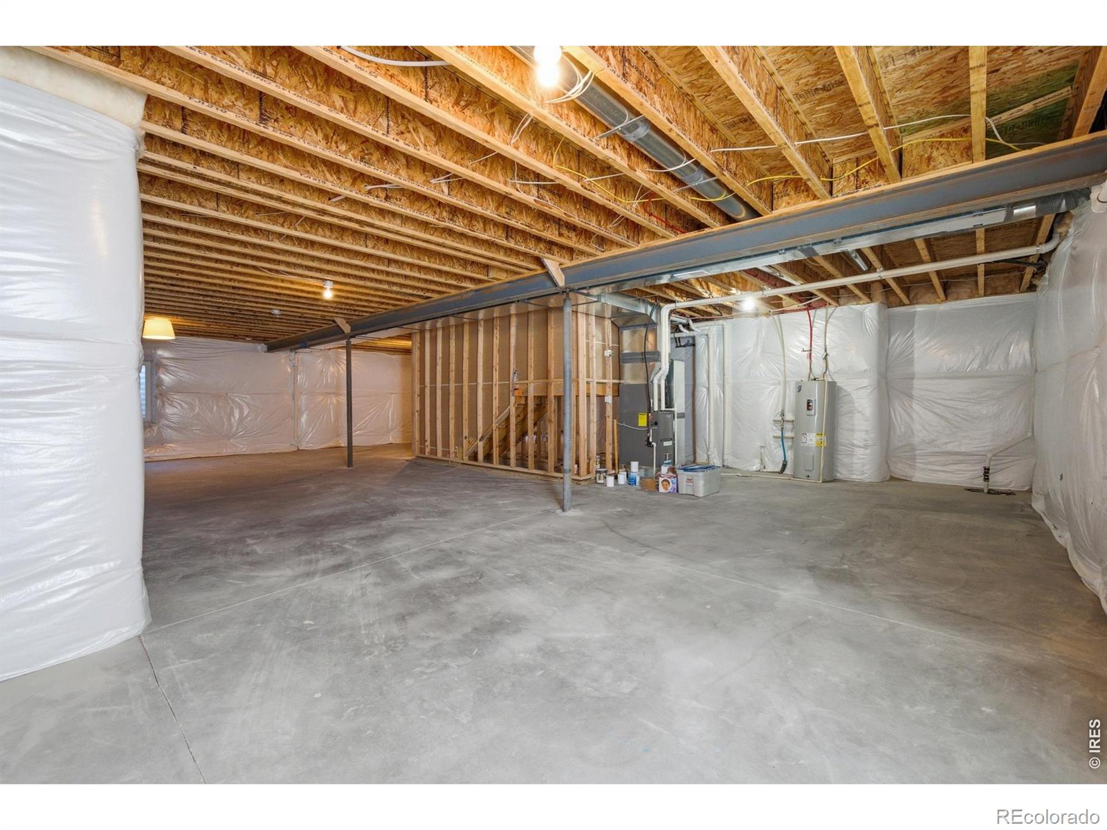 3928 River Birch Street Wellington CO 80549