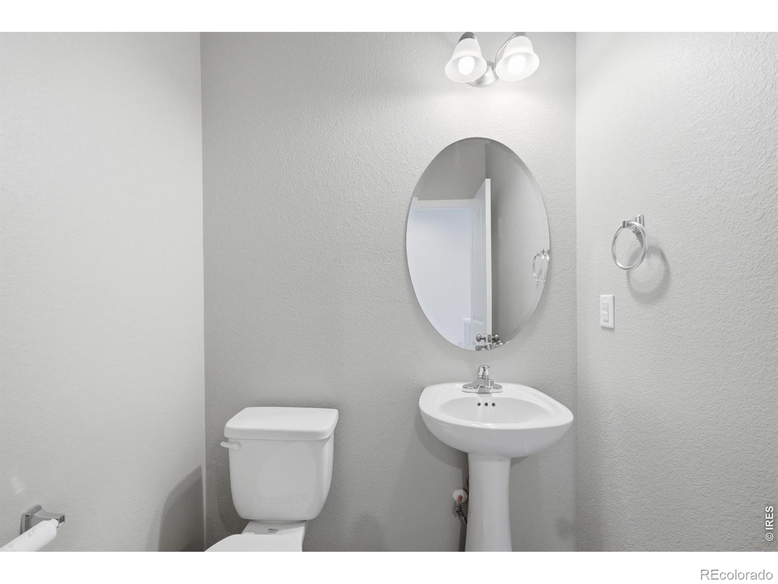 3928 River Birch Street Wellington CO 80549