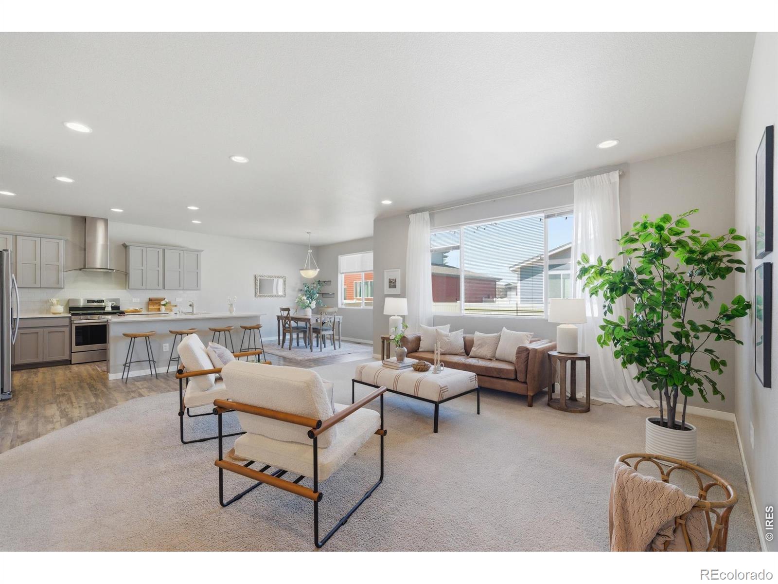 3928 River Birch Street Wellington CO 80549
