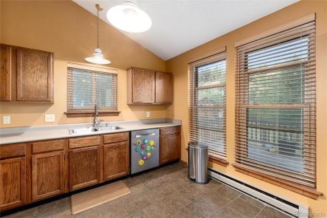 65 Silver Springs Road Bailey CO 80421