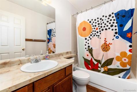 65 Silver Springs Road Bailey CO 80421