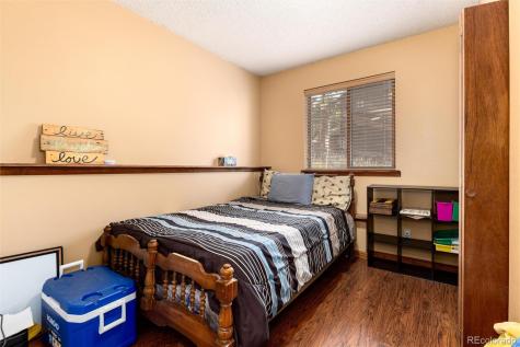 65 Silver Springs Road Bailey CO 80421