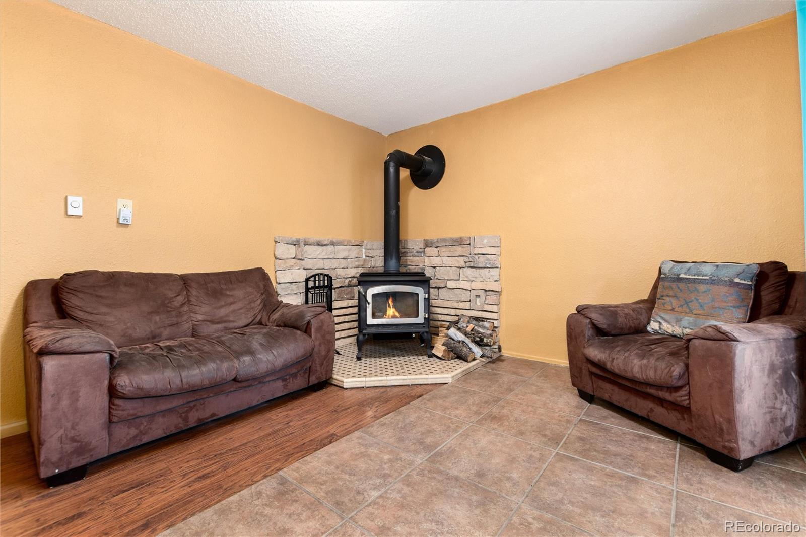 65 Silver Springs Road Bailey CO 80421
