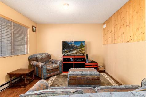 65 Silver Springs Road Bailey CO 80421