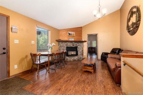 65 Silver Springs Road Bailey CO 80421