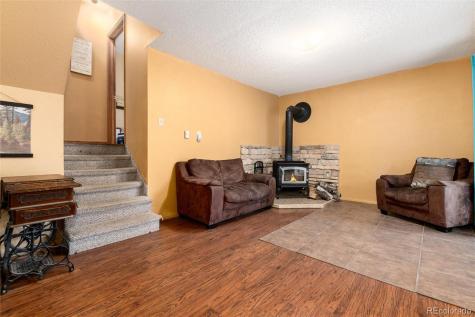 65 Silver Springs Road Bailey CO 80421